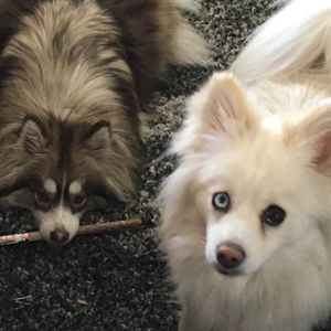 Meet your Posher, Marty